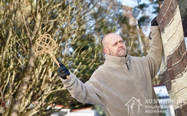 Домашние средства для чистки паласа