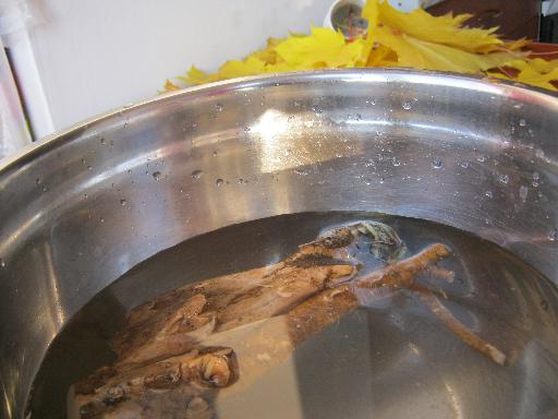 Как заморозить хрен