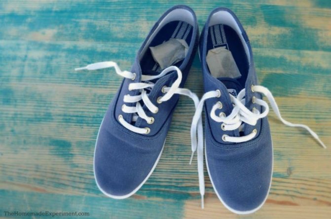 Кроссовки и чайные пакетики