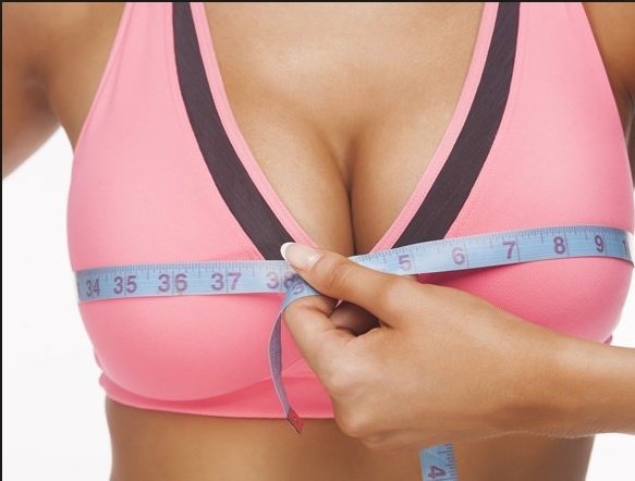 Красивая, большая, маленькая женская грудь. Типы, формы и размеры. Фото