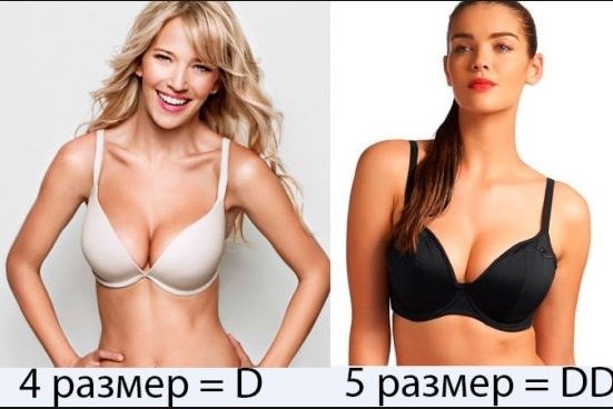 Красивая, большая, маленькая женская грудь. Типы, формы и размеры. Фото