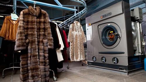 Особенности меха степной норки и шубы из нее