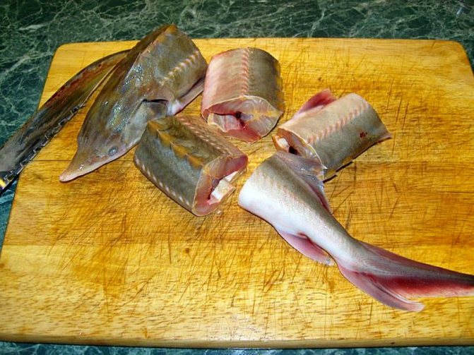 Разделка стерляди на куски