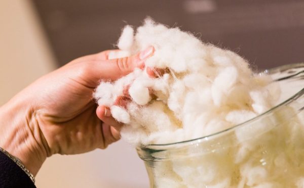 шерсть овцы